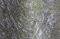 Spilsby fibreglass roof work